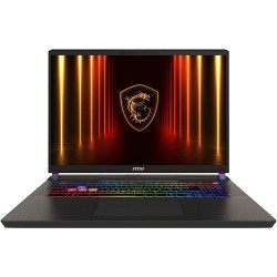 Ноутбук MSI Vector 17 HX AI A2XWJG-062RU Intel Core Ultra 9 275HX/32Gb/SSD1Tb/RTX5090 24Gb/17