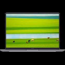 Ноутбук HONOR MagicBook X14 Plus Intel Core 5 220H/16Gb (soldered D4)/SSD1Tb/UMA/14